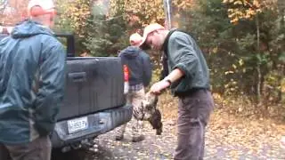 North Maine Woods Bird Hunt 2012