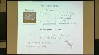 Multiple Speakers | Multiscale analyses of tissue growth and front propagation
