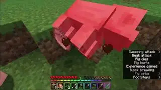 Minecraft lets play - cutie animals