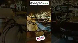Christmas Carriage Ride #shorts horse ride