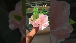Easy paper flower making tutorial | crepe paper crafts #crafttutorial #craftshorts #papercrafts
