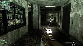 IW5 gameplay