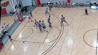 Game against the Illinois Blaze