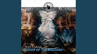 Flight Of The Buzzard