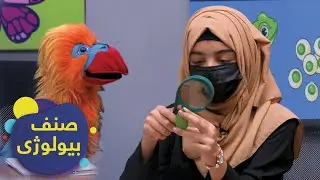SENF - Biology Grade 7 - Episode 11| صنف - بیولوژی صنف هفتم - درس ۱۱: موجودات اتوتروف و هتروتروف