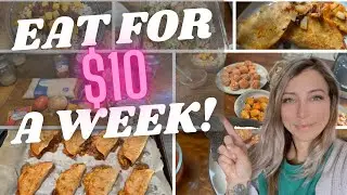 HOW TO EAT FOR $10 A WEEK || EMERGENCY GROCERY HAUL & CHEAP MEAL IDEAS