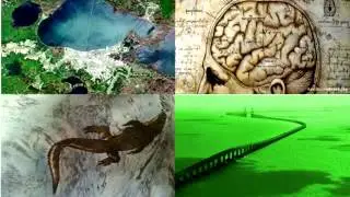 Boo LaCrosse-Brain Like The Ponchartrain