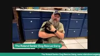 The Roland Senior Dog Rescue Gang | Ava & Benji