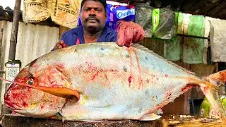 KASIMEDU 🔥 SPEED SELVAM | BIGG TREVALLY FISH CUTTING VIDEO | FF CUTTING 🔪