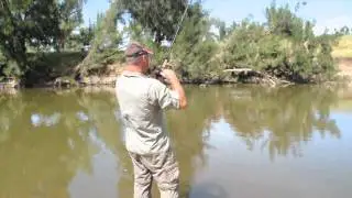Bait casting - Accuracy