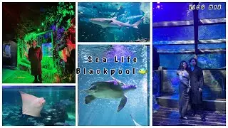 Birthday Vlog | Part 1 | Exploring Sea Life Blackpool🌊🐬🐠🐟🪸🦀