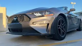 2023 Ford Ecoboost Mustang Review & Drive