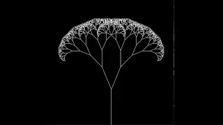 Drawing a Fractal Tree with Processing Java | Full Explanation