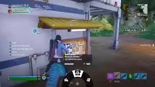 Fortnite with Irish