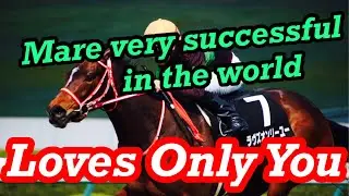 Loves Only You（ラヴズオンリーユー）, introduce the great horse of Japan
