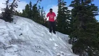 Sourdough Ridge Trail in early July