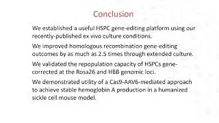 Establishment of a Platform for Ex Vivo Gene Editing in Multipotent Mouse Hematopoietic Stem Cells