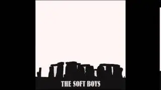 Soft Boys - Only The Stones Remain