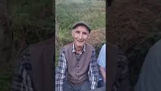 DVA NAJSTARIJA BRODAREVCA