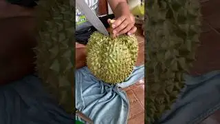 Easy way to peel durian #durian #fruit