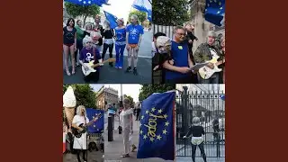 Pants to Brexit