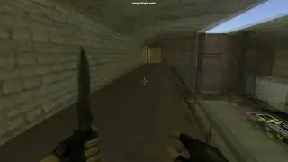 delagO ACE on @de_train !