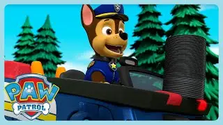 Paw Patrol - Saving Music Records | Compilation | WildBrain Zoo | Cartoons for Kids