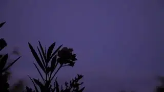 Relaxing Rain Sounds for Peaceful Sleep on an Australian Winter Night