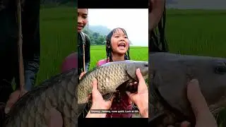 Hand In, Fish Out &mdash; Rice Field POV Mud Catch! #shorts