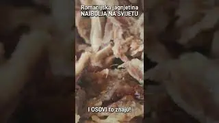 SOO Tasty! 🤗 #nature #food #meat #wasp #hornet #tasty #yummy #hanpijesak #insects #forest