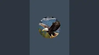 tornado en alton Texas &uacute;ltima ora 🌪️🌪️🚨🚨🚨