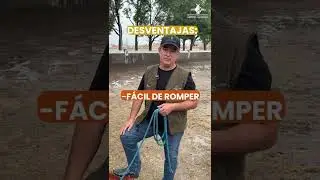 Tipos de slowfeeder #caballo #caballos #aguazarca #shorts