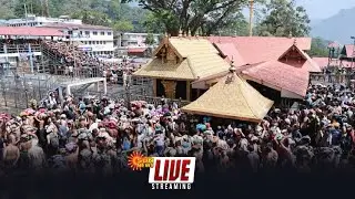 🔴LIVE :  Sabarimala Ayyappan Temple | மகரஜோதியை முன்னிட்டு சபரிமலையில் குவியும் பக்தர்கள்!