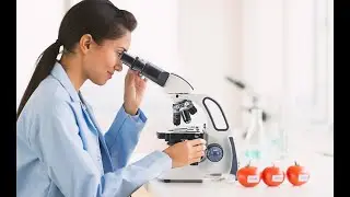 How to use SWIFT SW380B microscope? beautiful engineers explain the whole process to you in detail.