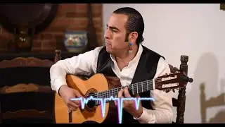 Pure Flamenco: From Andalusia with Love