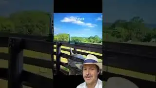 Contn&ccedil;&atilde;o de Tronco