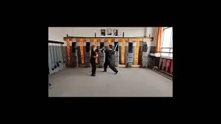 LIDIA HAYKAZYAN.HAND VS STICK. 211 #kungfu #selfdefense #martialarts #wingtsun #wingchun #vingchun