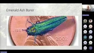 Emerald Ash Borer and Other Tree Health Concerns DACF Update for Cities and Towns February 9, 2026