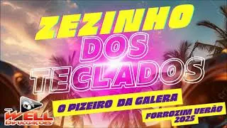 PIZEIRO DA GALERA ZEZINHO DOS TECLADOS - FORROZIM DE VERÃO