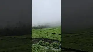 Munnar Tea Plantations & Waterfalls | Ultimate Kerala Road Trip 🌿🌊🚗