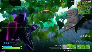Fortnite_20251213062156