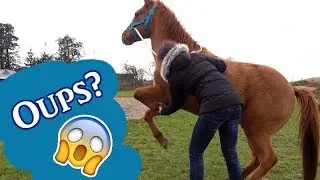 Chico steigt??? - erste Schritte zum Kompliment feat. Janas Vilögg | Serenity Horses
