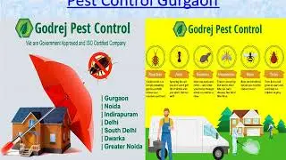 Choose the Best Pest Control in Gurgaon