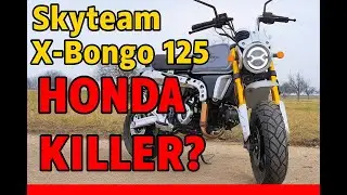 TSS BIKES Skyteam X-Bongo 125 &ndash; Der Mini-Bike Geheimtipp! Besser als die Honda MSX/Grom?!