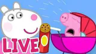 LIVE 🔴 Peppa Pig 🐷 Fun with Baby Piggy! | Super Toons TV - Cartoons