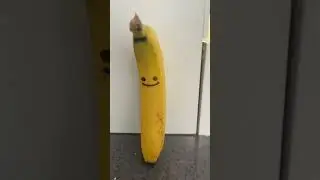 Meet my friend Pedro