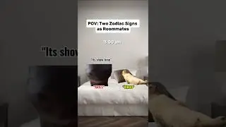 POV: You picked the wrong roommate! zodiac cat meme #cat #shorts #memes #relatable #ytshorts