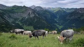 Bad Hindelang im Allg&auml;u - Wo die Seele der Alpen zuhause ist