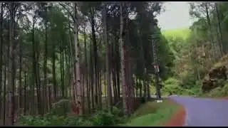 short documentary about kotli sattia