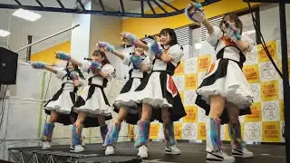 20240218 豆柴の大群都内某所 a.k.a. MONSTERIDOL @ タワーレコード津田沼　1部